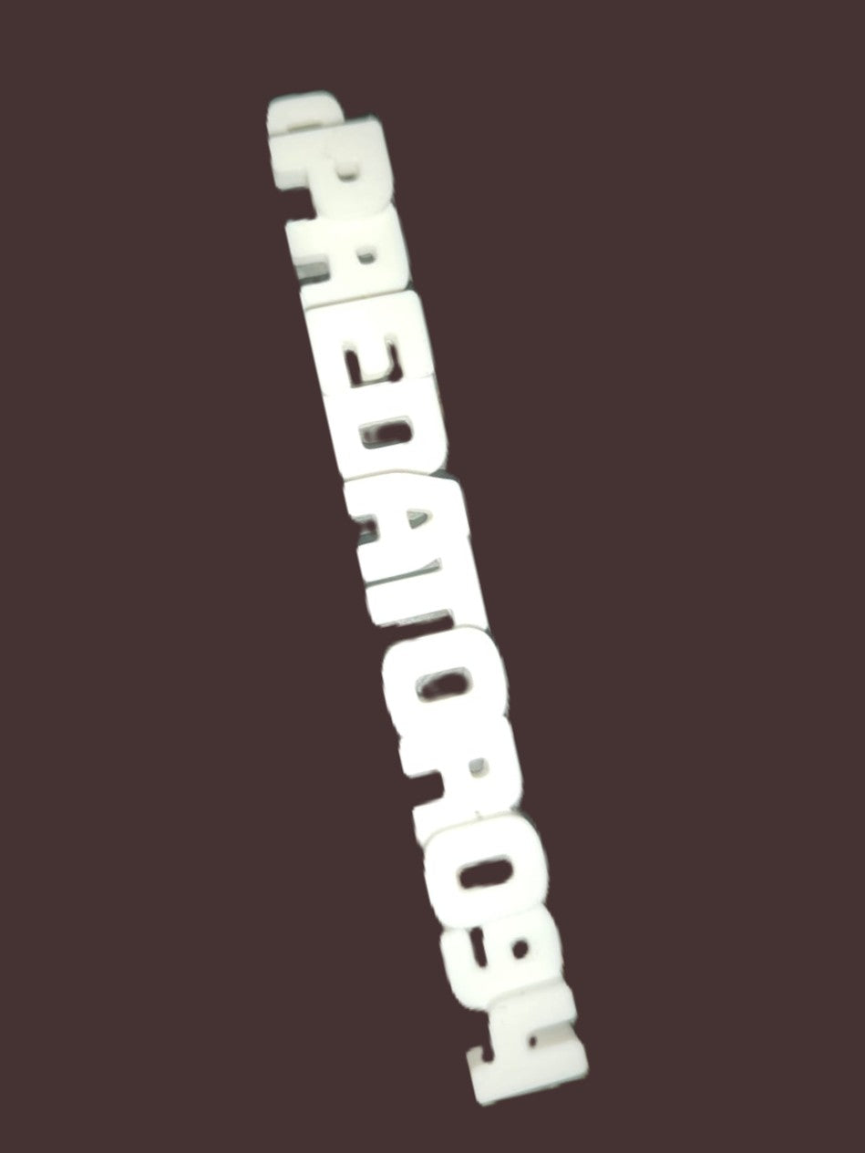 Name Keychain (pair)